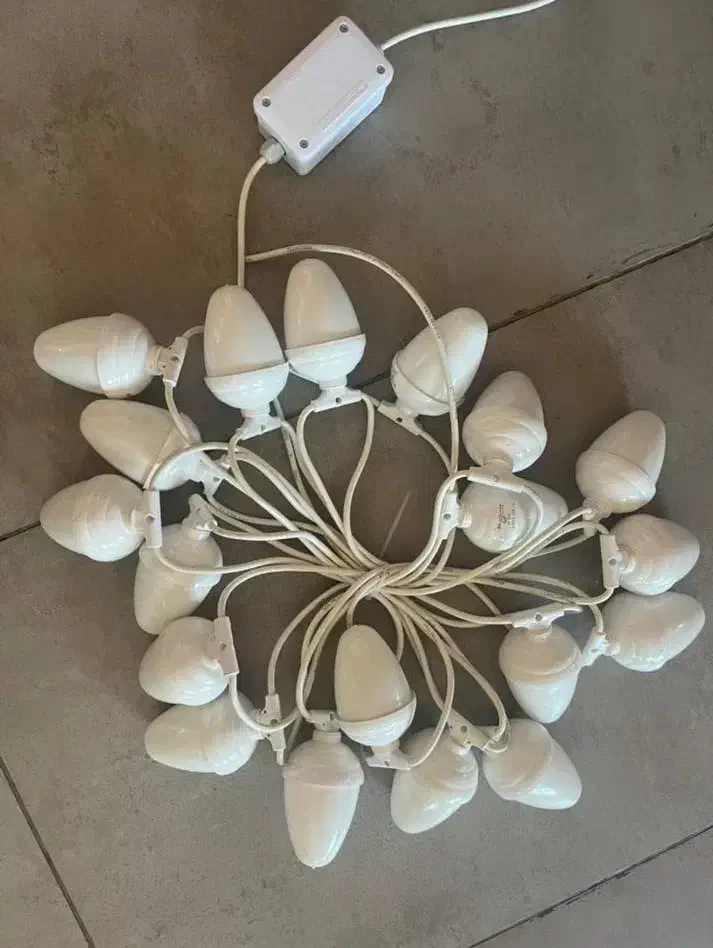 ریسه بلوطی|فروشگاه و مغازه|دابودشت, |دیوار