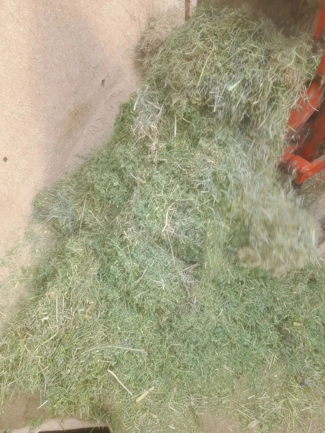 یونجه|لوازم جانبی حیوانات|قیدار, |دیوار