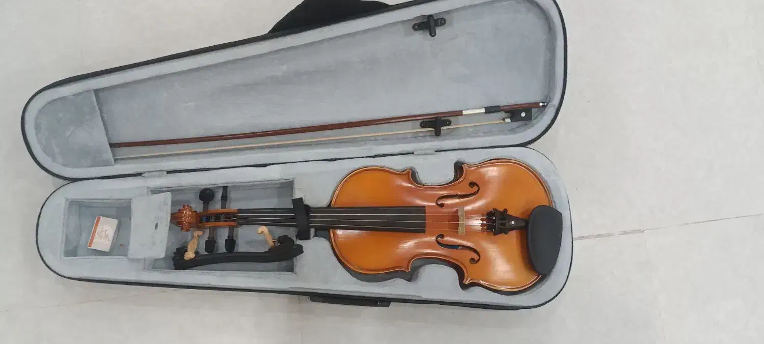 ویولن|ویولن|یزد, |دیوار