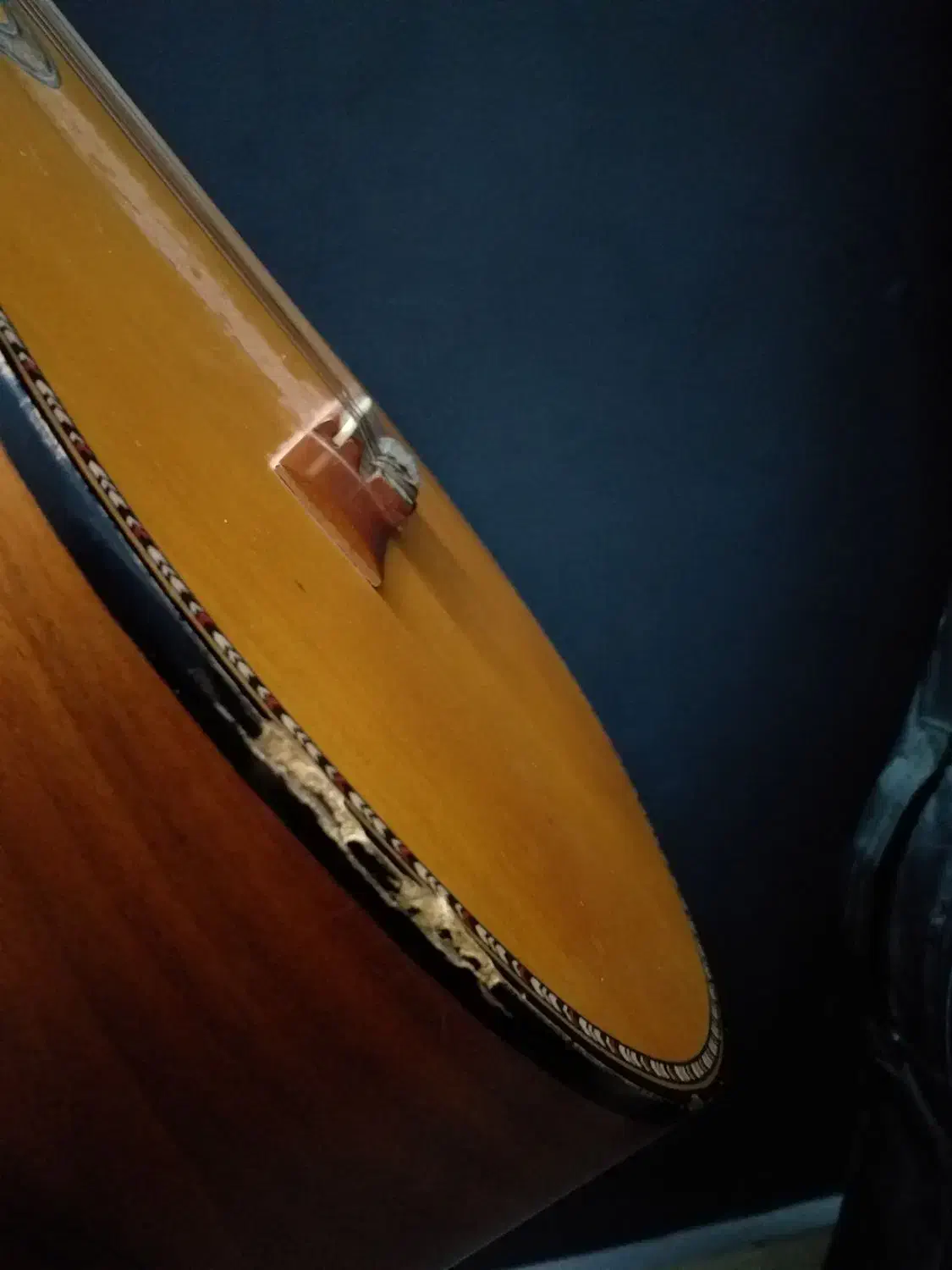 گیتار Dalahu با کاور|گیتار، بیس، امپلیفایر|بجنورد, |دیوار