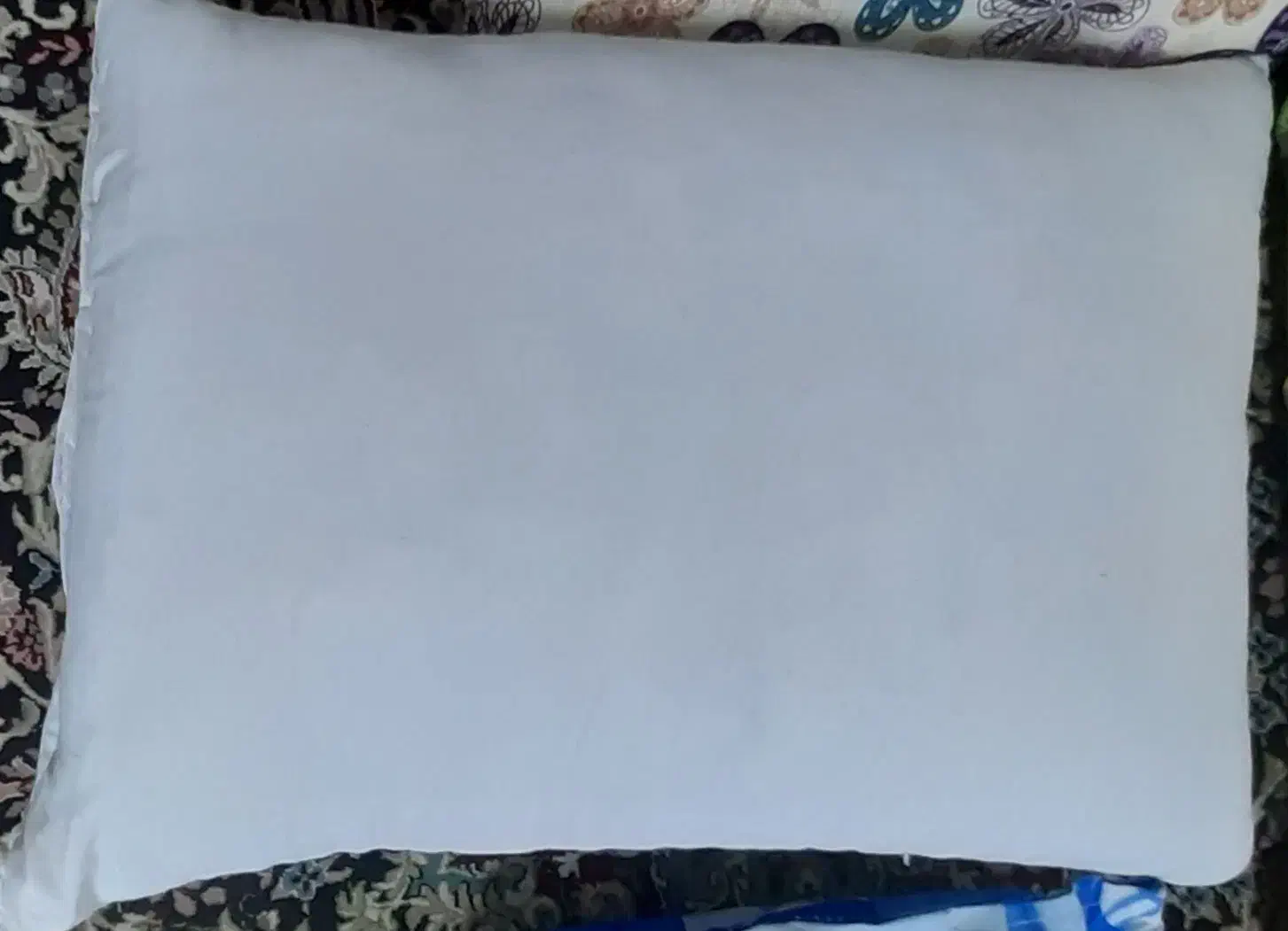 بالشت|رختخواب، بالش، پتو|کرمان, |دیوار