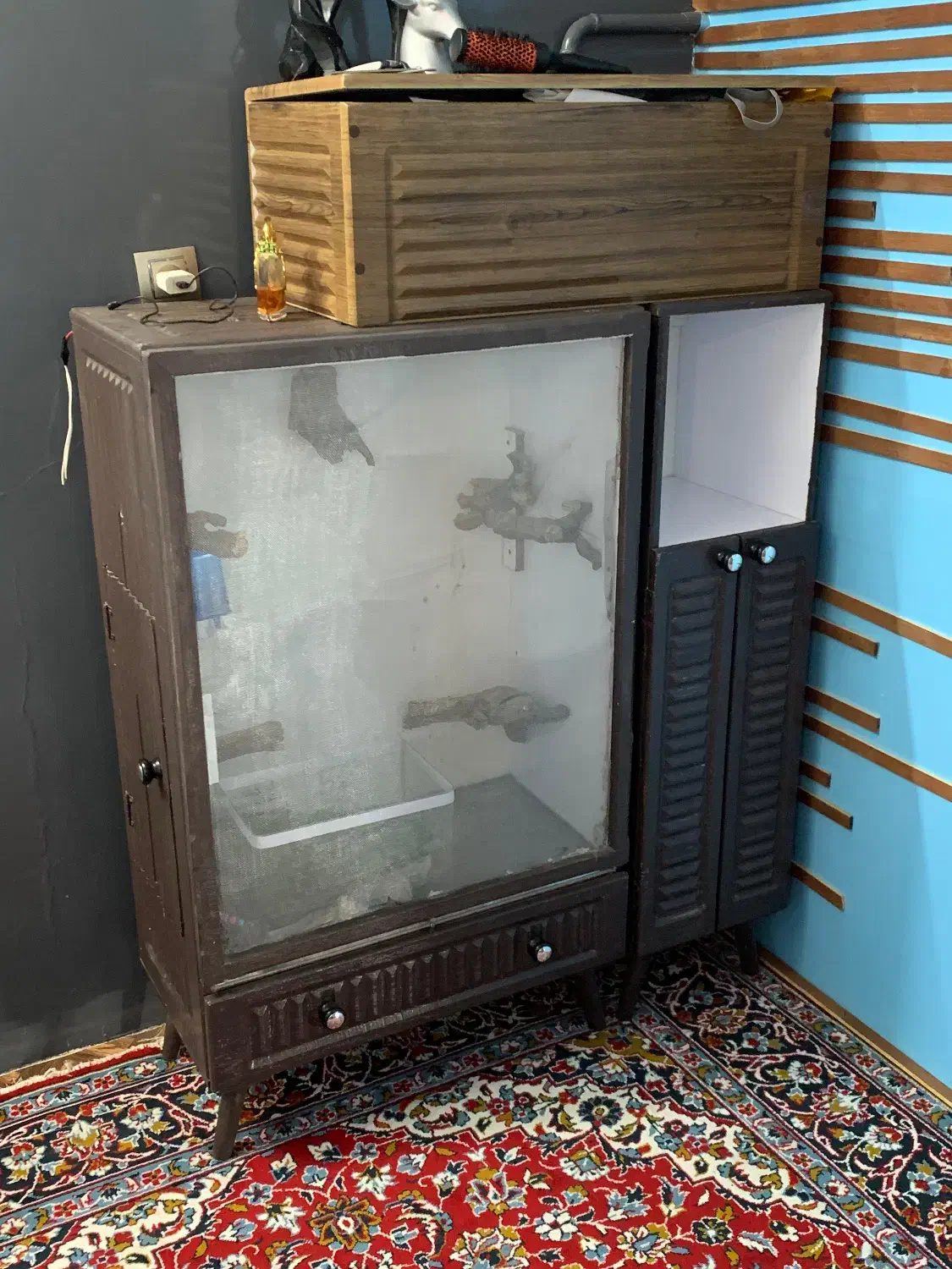 قفس پرنده|لوازم جانبی حیوانات|نیشابور, بنیاد شهید|دیوار