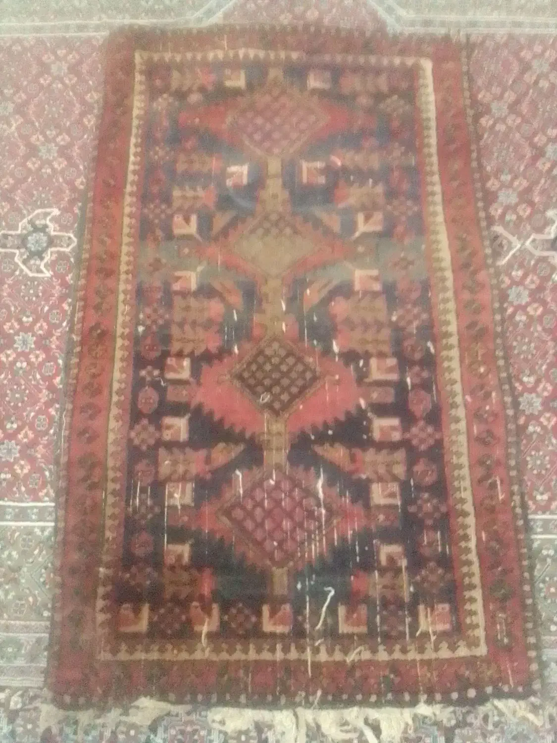 لوازم خانگی|فرش|قزوین, |دیوار