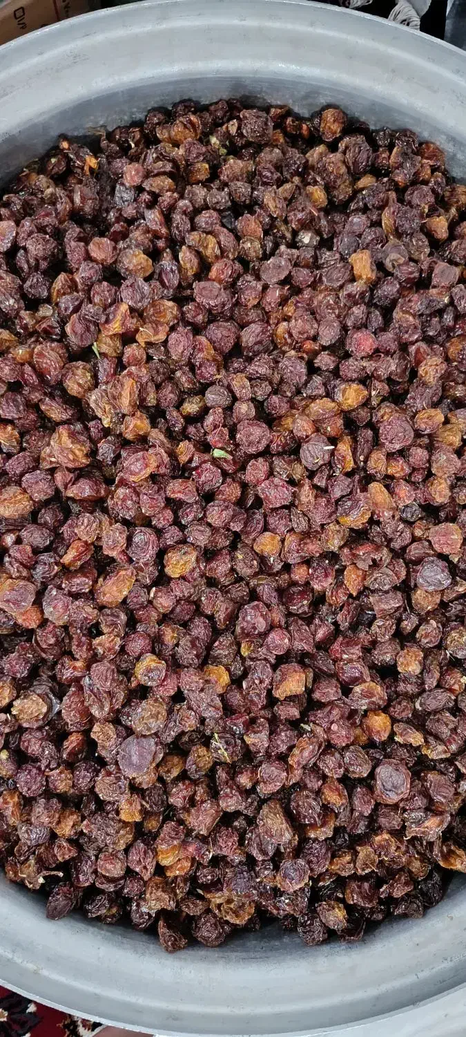 هلوچه|عمدهفروشی|سرپل ذهاب, |دیوار