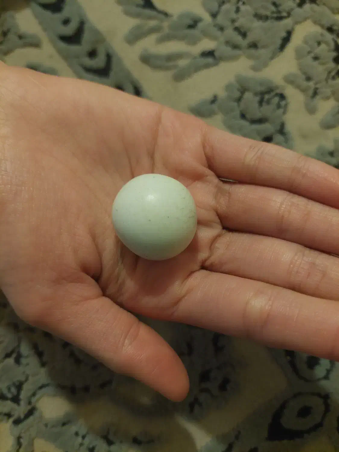 سنگ قدیمی|کلکسیون اشیاء عتیقه|مشهد, گوهرشاد|دیوار