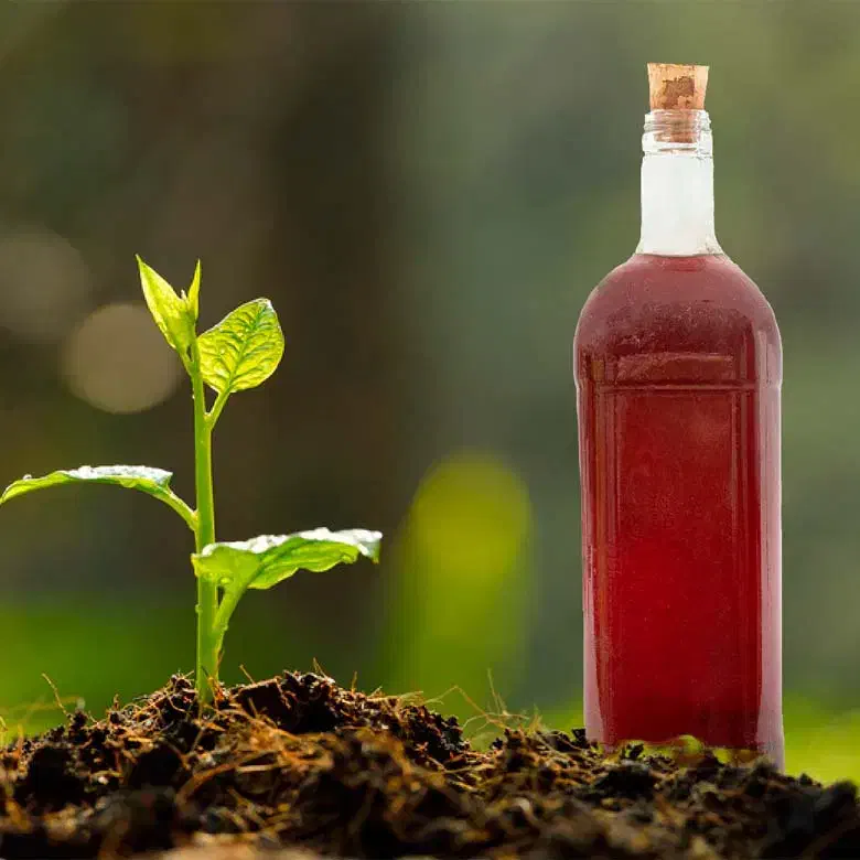 فروش ویژه سرکه چوب|خدمات باغبانی و درختکاری|فسا, |دیوار