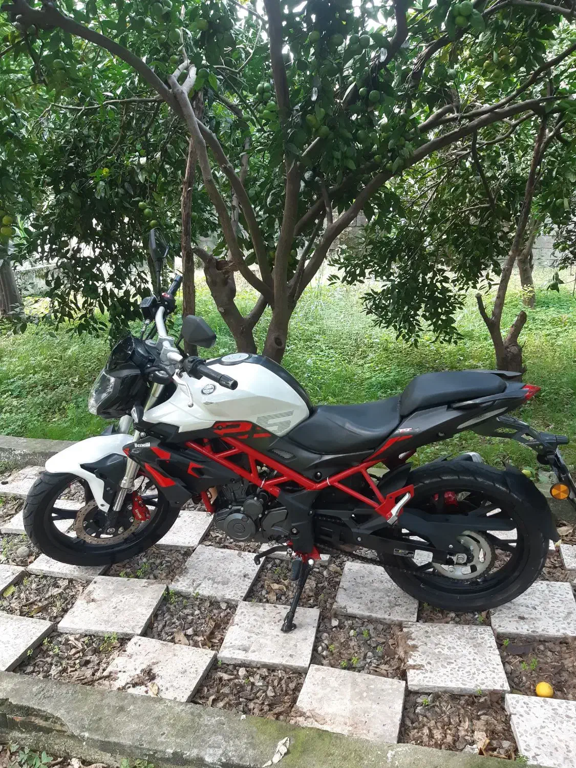 بنلی ۲۵۰ تک سیلندر|موتورسیکلت|نوشهر, |دیوار