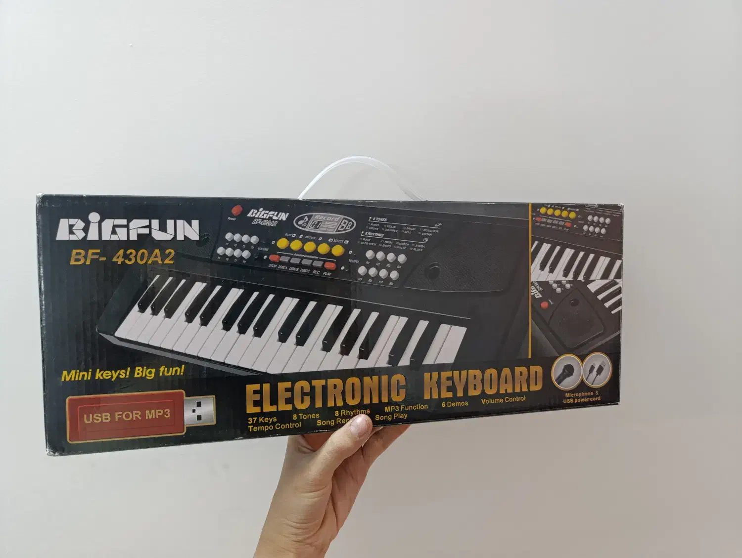 اورگ|پیانو، کیبورد، آکاردئون|یزد, |دیوار