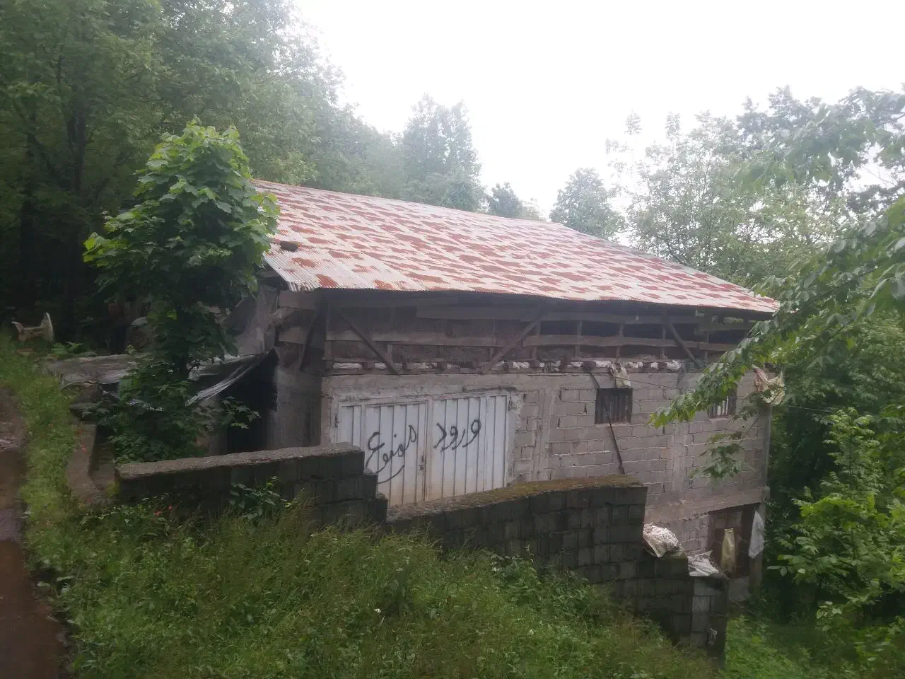 دامداری فوری فوری|فروش دفتر صنعتی، کشاورزی، تجاری|کلاچای, |دیوار