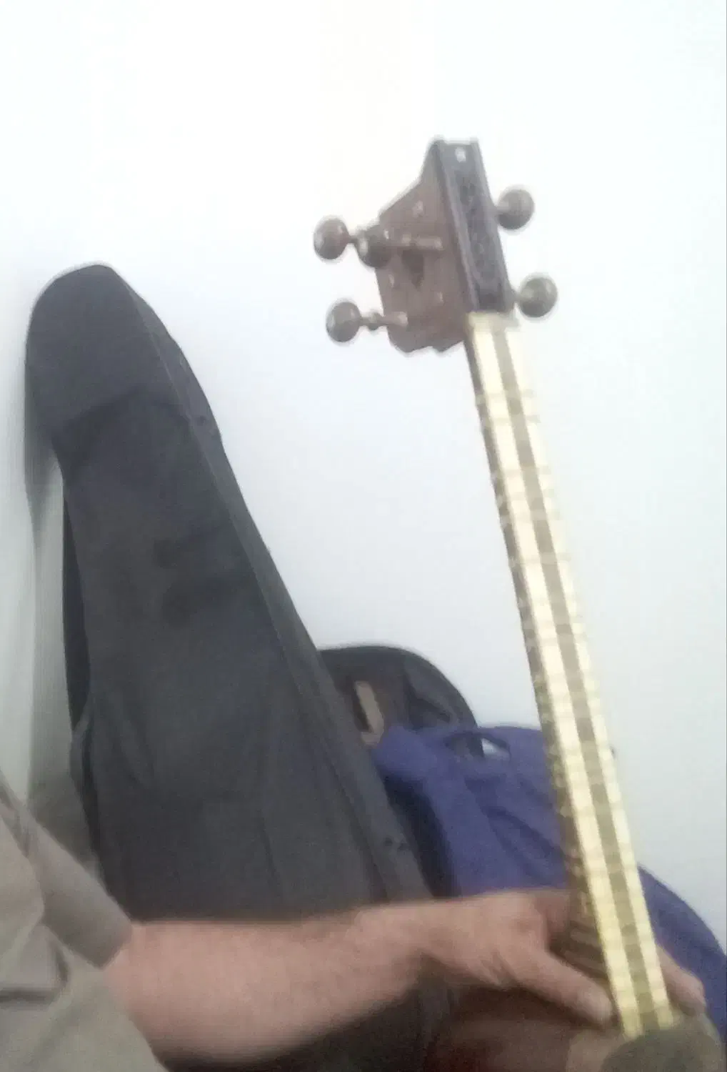 فروش تار خوش صدا|سازهای سنتی|شیراز, فرهنگ شهر|دیوار