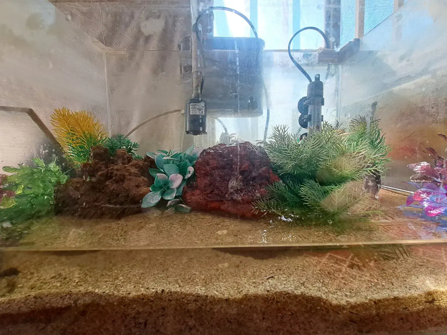 فروش آکواریوم شیشه خم شرکتی با فیلتر و بخاری|ماهی|جهرم, |دیوار