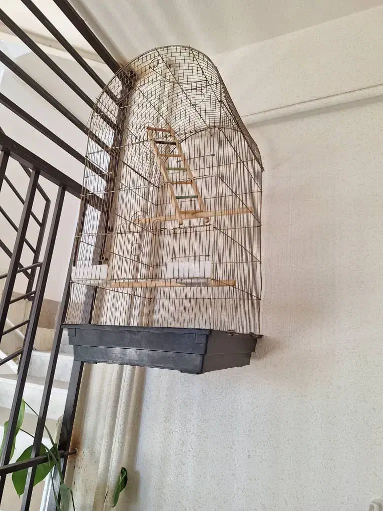 قفس پرنده|لوازم جانبی حیوانات|پردیس, فاز ۹|دیوار