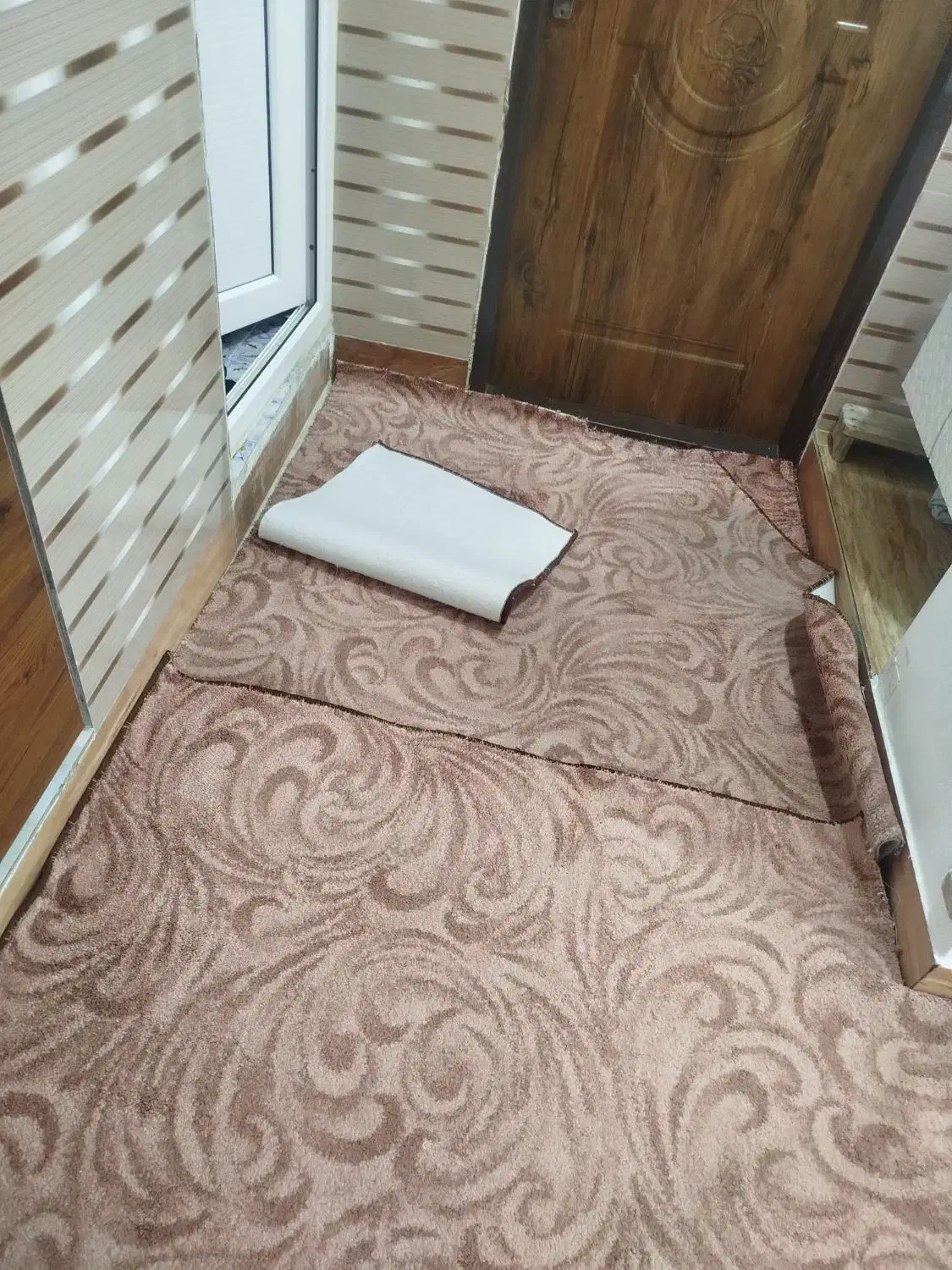 پالاز|موکت|بانه, |دیوار