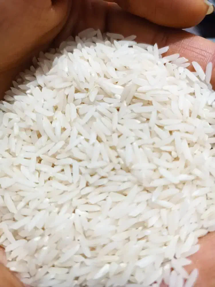 برنج طارم دم سیاه عطری|عمده‌فروشی|پاکدشت, پاکدشت (مامازند)|دیوار