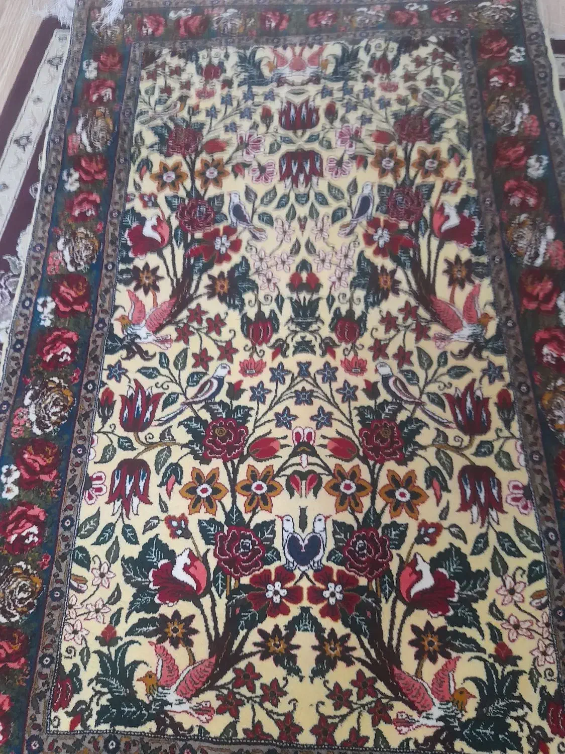 قالی دست بافت|فرش|سنندج, |دیوار