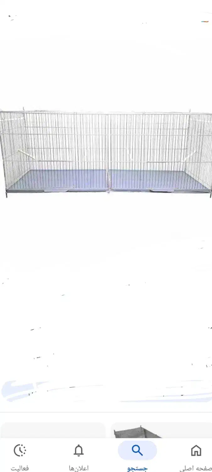 جوجه پران با میلهای سالم و محکم|لوازم جانبی حیوانات|فولادشهر, C2|دیوار