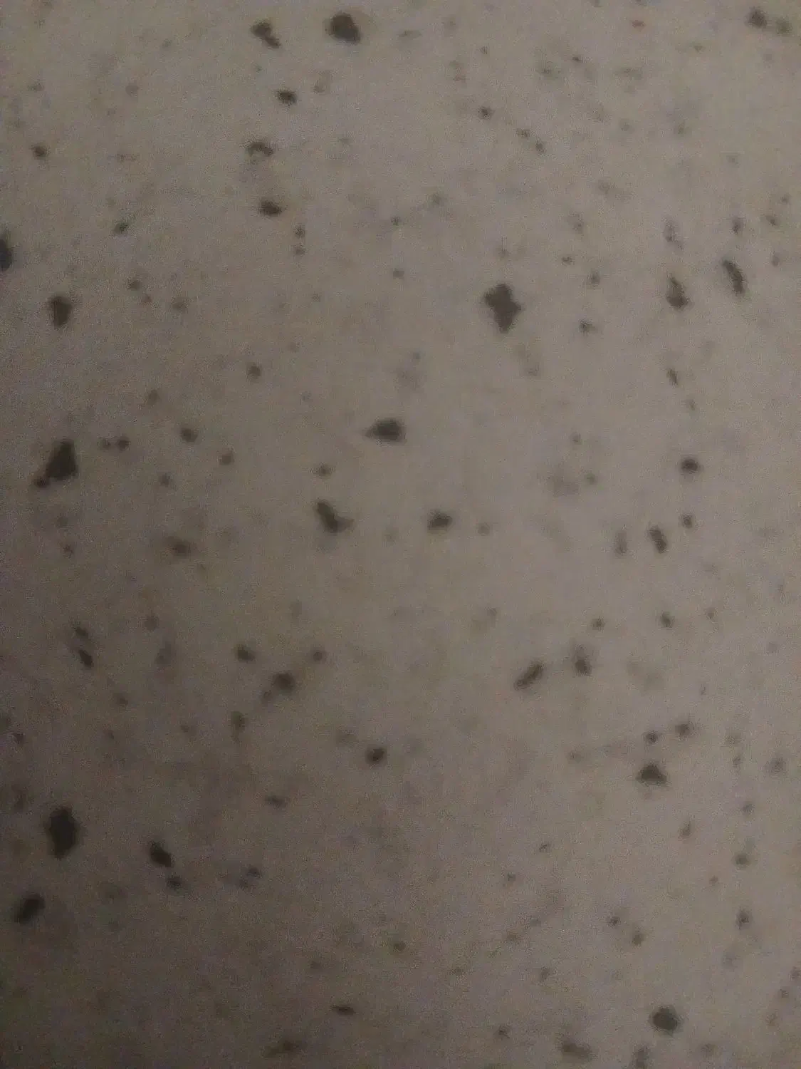 تلفن|تلفن رومیزی|پاکدشت, پاکدشت (مامازند)|دیوار