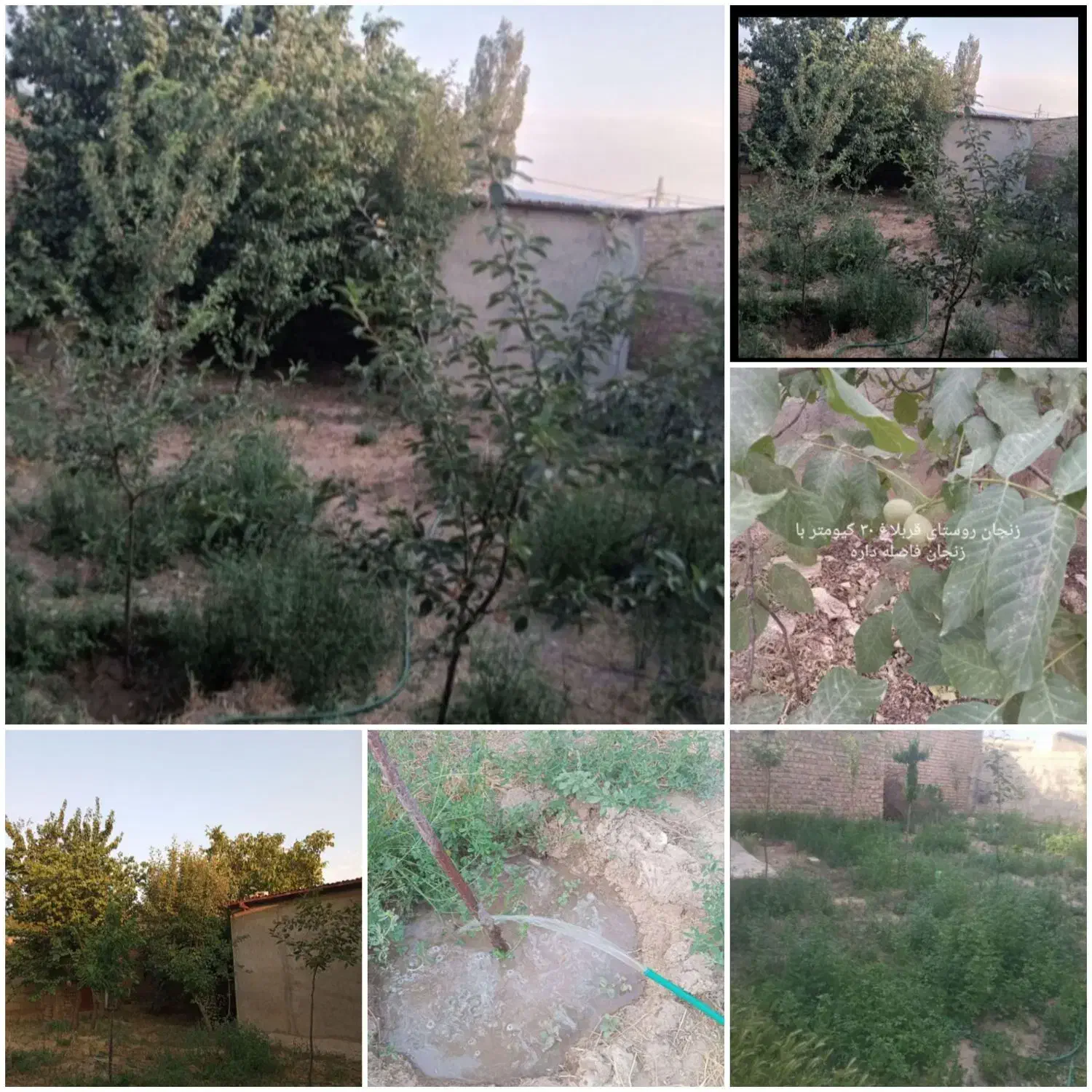خانه ویلایی روستای قربلاغ ۳۰کیلو زنجان|فروش خانه و ویلا|باغ حلی, |دیوار