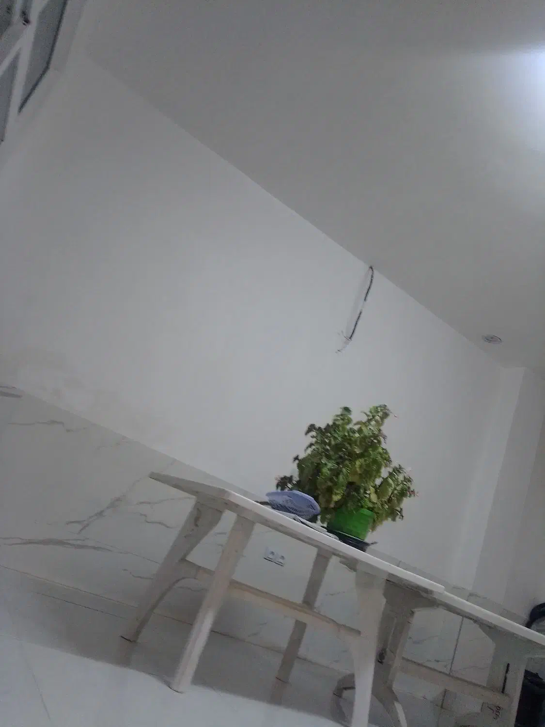 پیدا شده 2 ماهه|اشیا|شهرکرد, |دیوار