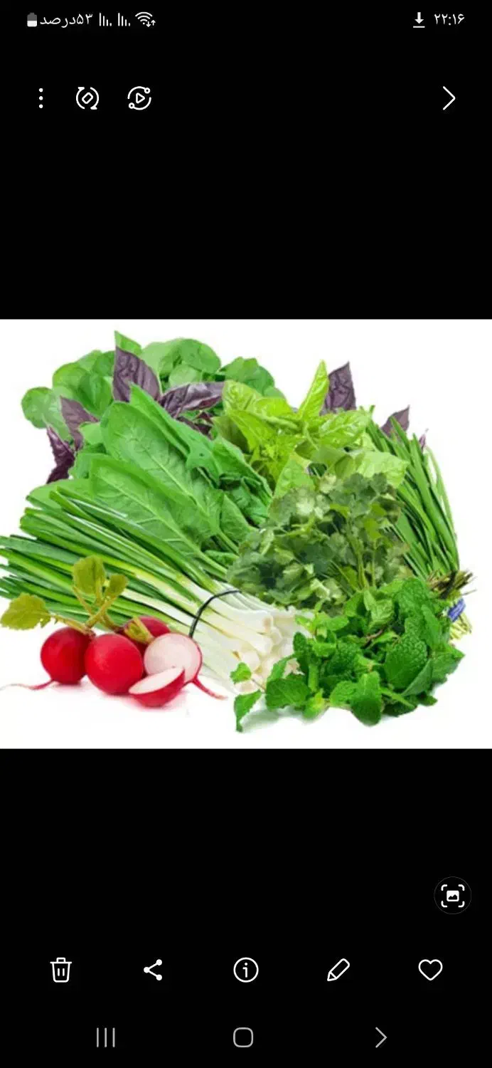 اهواز حمیدیه|عمدهفروشی|حمیدیه, |دیوار