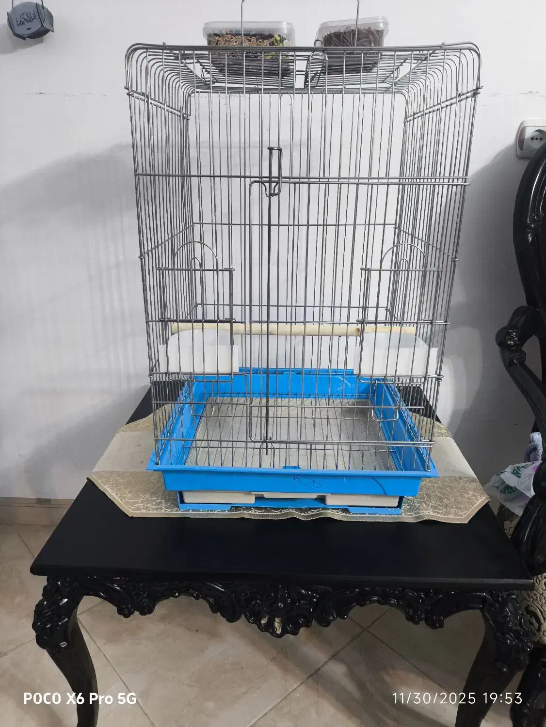 قفس عروس هلندی همراه با غذا تقویتی|لوازم جانبی حیوانات|ایلام, |دیوار