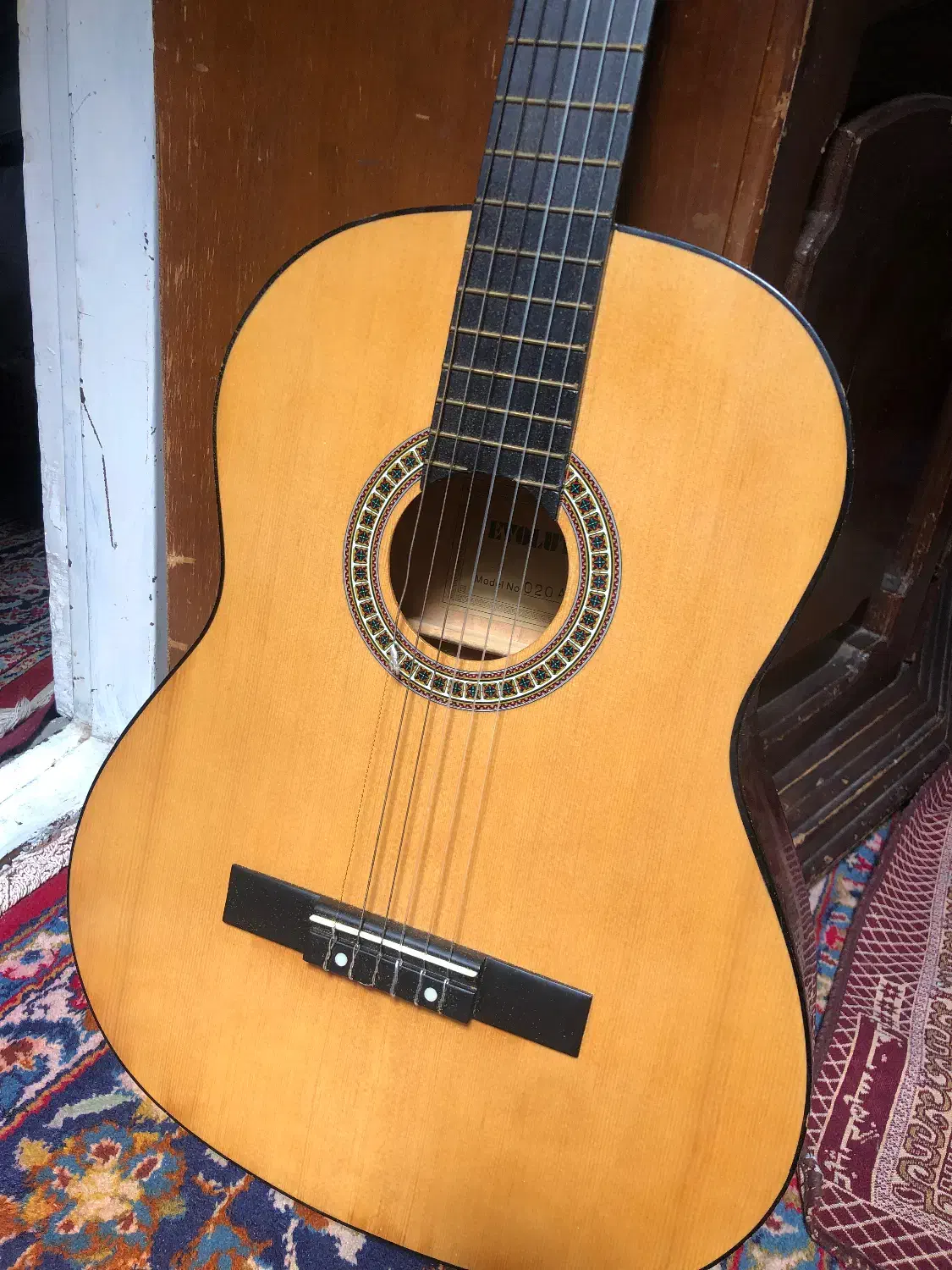 گیتار|گیتار، بیس، امپلیفایر|مراغه, |دیوار