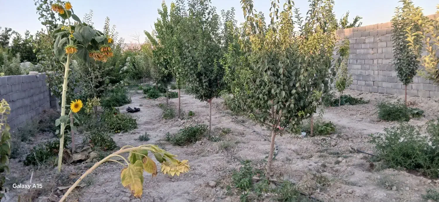 فروش زمین باق ویلا درچناران روستای جوکار|فروش زمین و ملک کلنگی|چناران, |دیوار