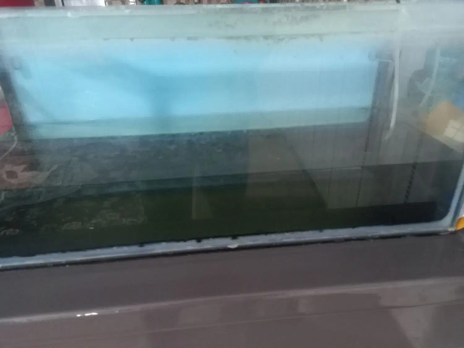 آکواریوم و اکسیژن ساز|ماهی|زابل, |دیوار