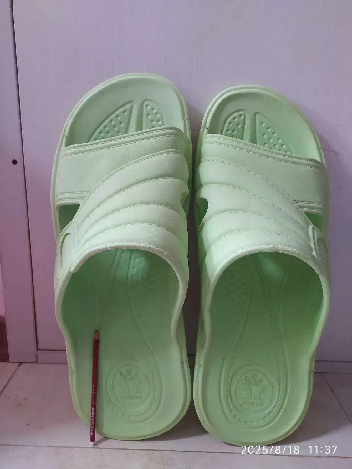 دمپایی تزئینی|کیف، کفش، کمربند|رشت, انصاری|دیوار