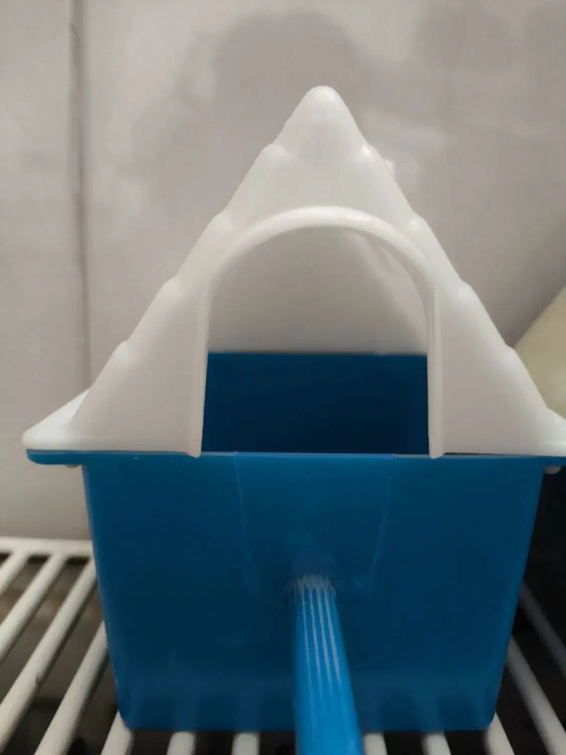 لانه فنچ|لوازم جانبی حیوانات|خرم بید, |دیوار