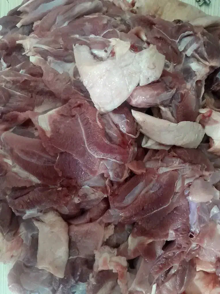 گوشت گوساله گوسفندی|خوردنی و آشامیدنی|هشتگرد, هشتگرد قدیم|دیوار