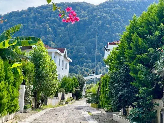 شهرک ساحلی در نشتارود سنگ فرش شده کاملا مسکونی|فروش زمین و ملک کلنگی|نشتارود, |دیوار