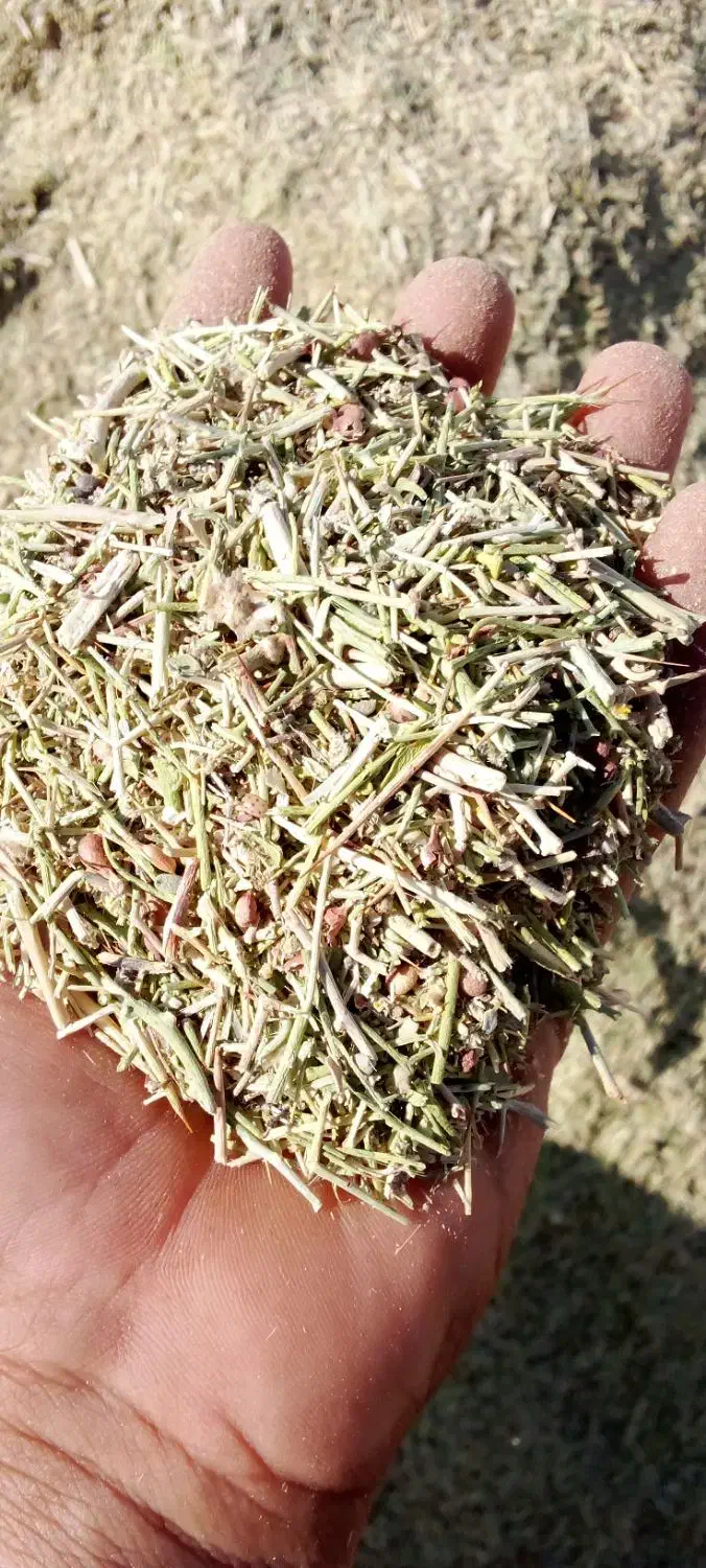 خار وشوره وسلمه قاطی|خدمات باغبانی و درختکاری|عطاملک, |دیوار