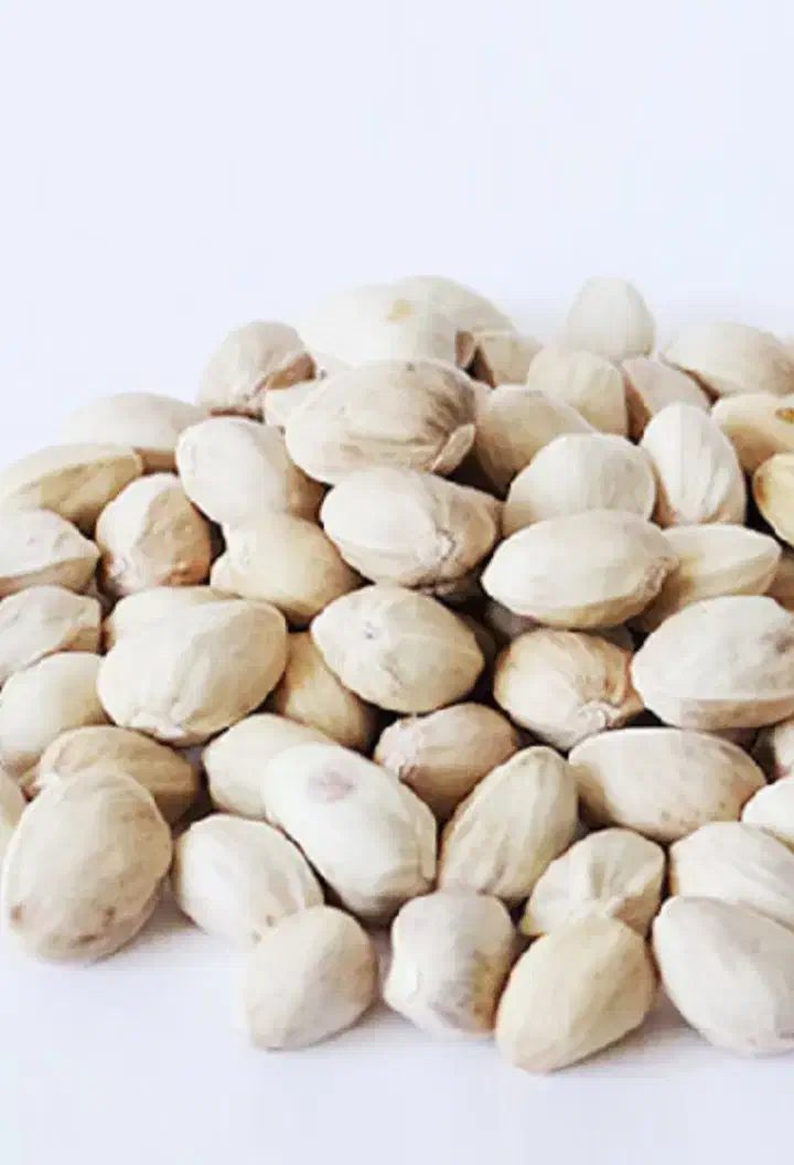 خرید پسته و مغز|خدمات باغبانی و درختکاری|تهران, هلال احمر|دیوار