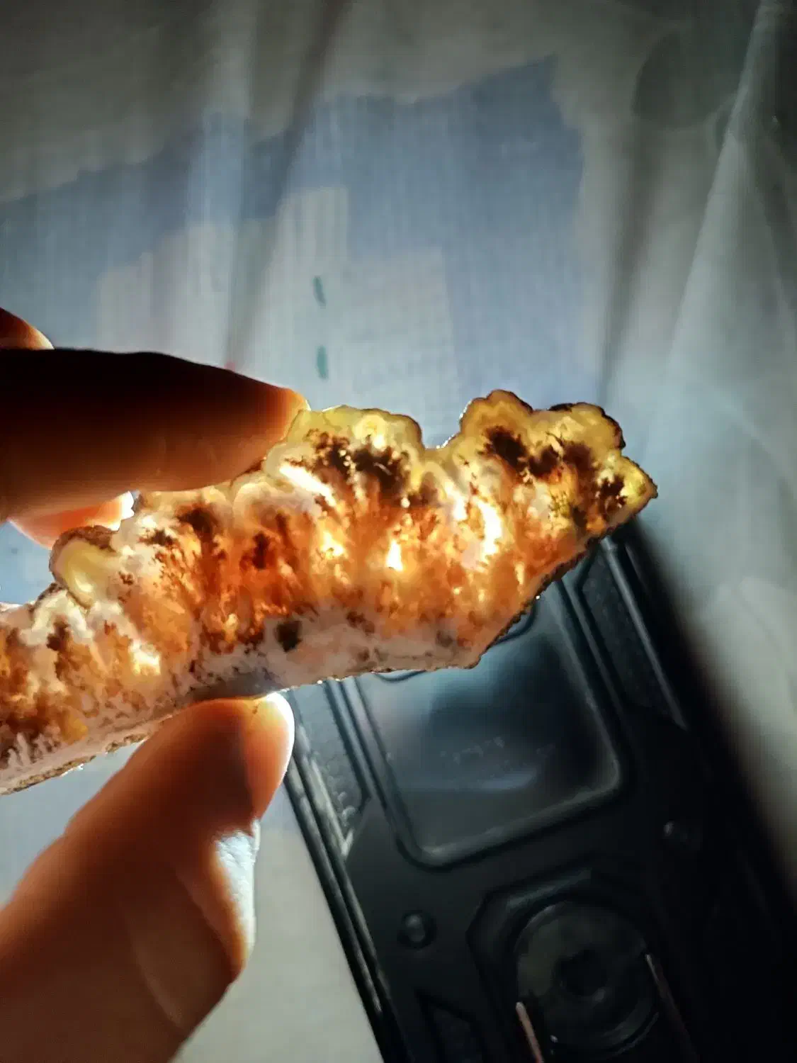 سنگ شجر ،عقیق|کلکسیون اشیاء عتیقه|یاسوج, |دیوار