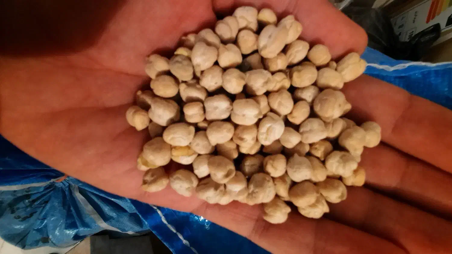 نخود مرکزی|عمدهفروشی|چهارباغ, |دیوار