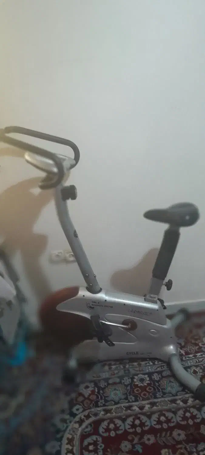 دوچرخه ثابت|تجهیزات ورزشی|صدرا-فارس, فاز ۱|دیوار