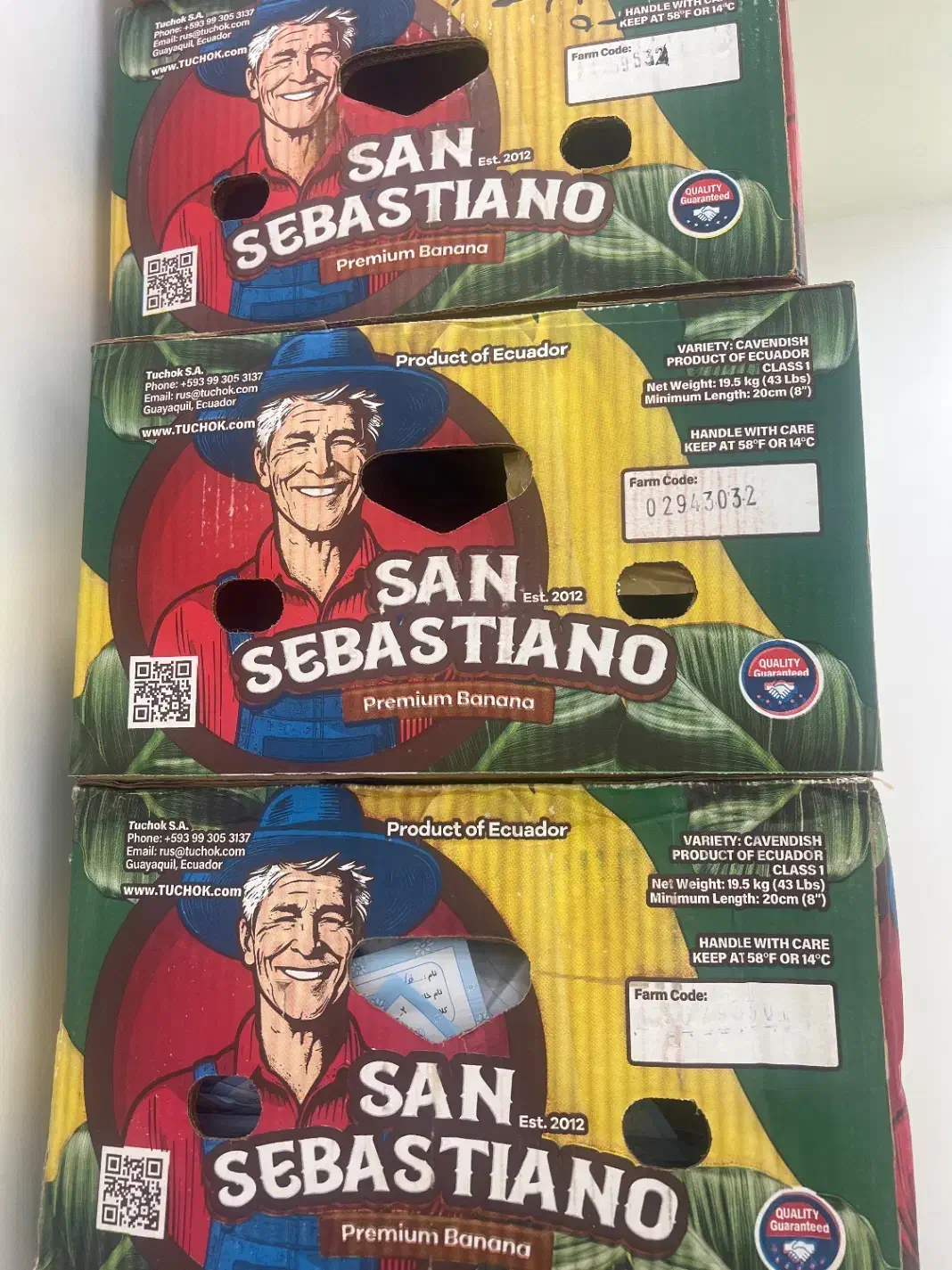 کارتن موز|حراج|شوش, |دیوار