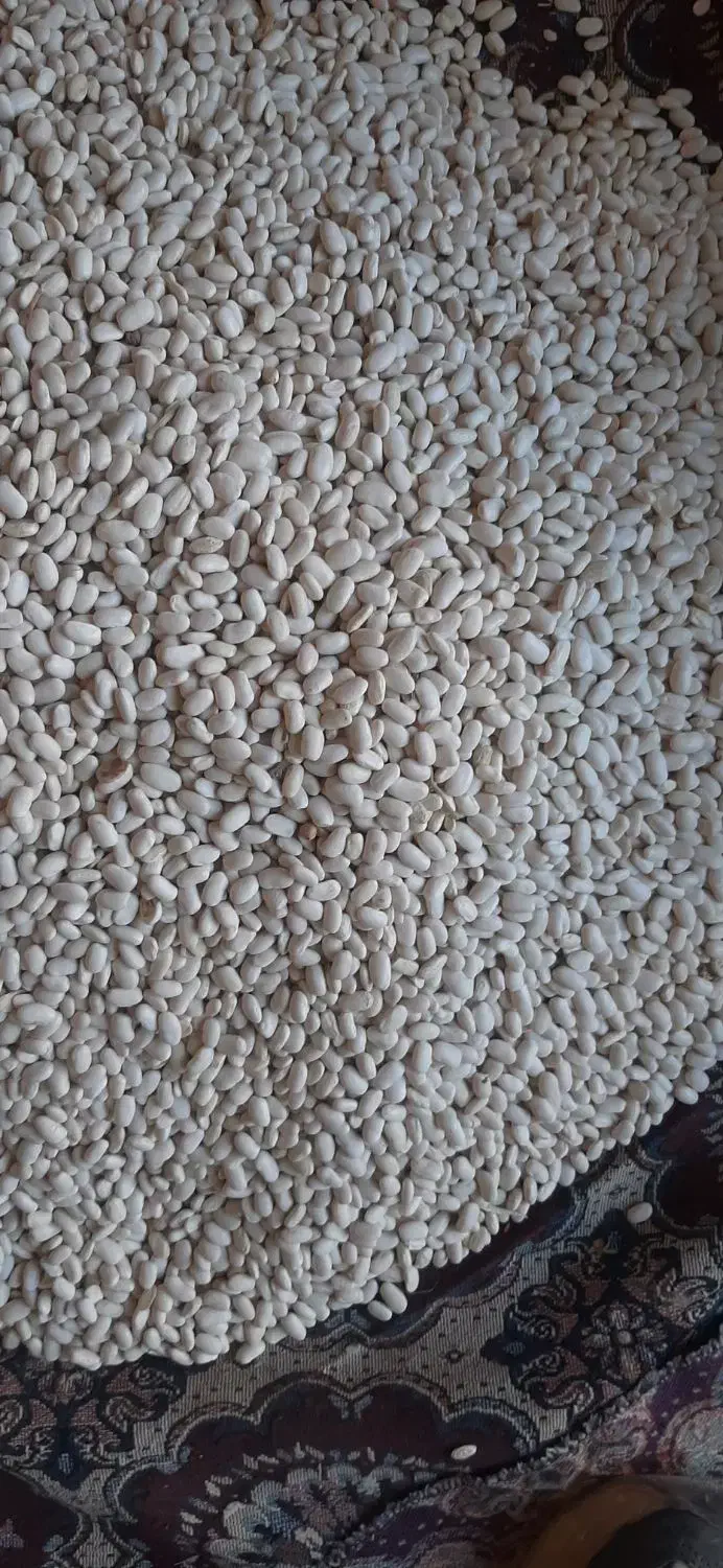 لوبیاسفید|خوردنی و آشامیدنی|اشترینان, |دیوار