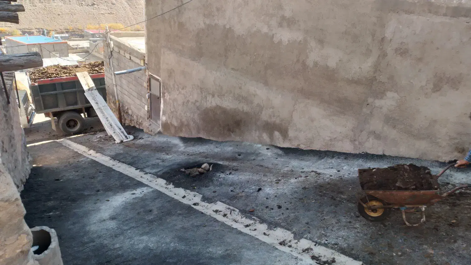 کود حیوانی گوسفندی رایگان|گل و گیاه طبیعی|باسمنج, |دیوار