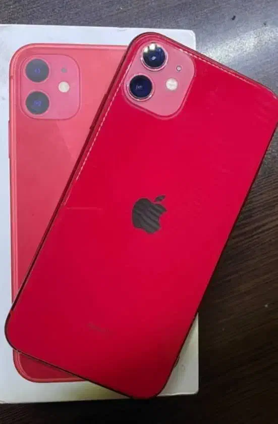 iPhone 11 آیفون ۱۱|موبایل|اصفهان, باغ گلها|دیوار