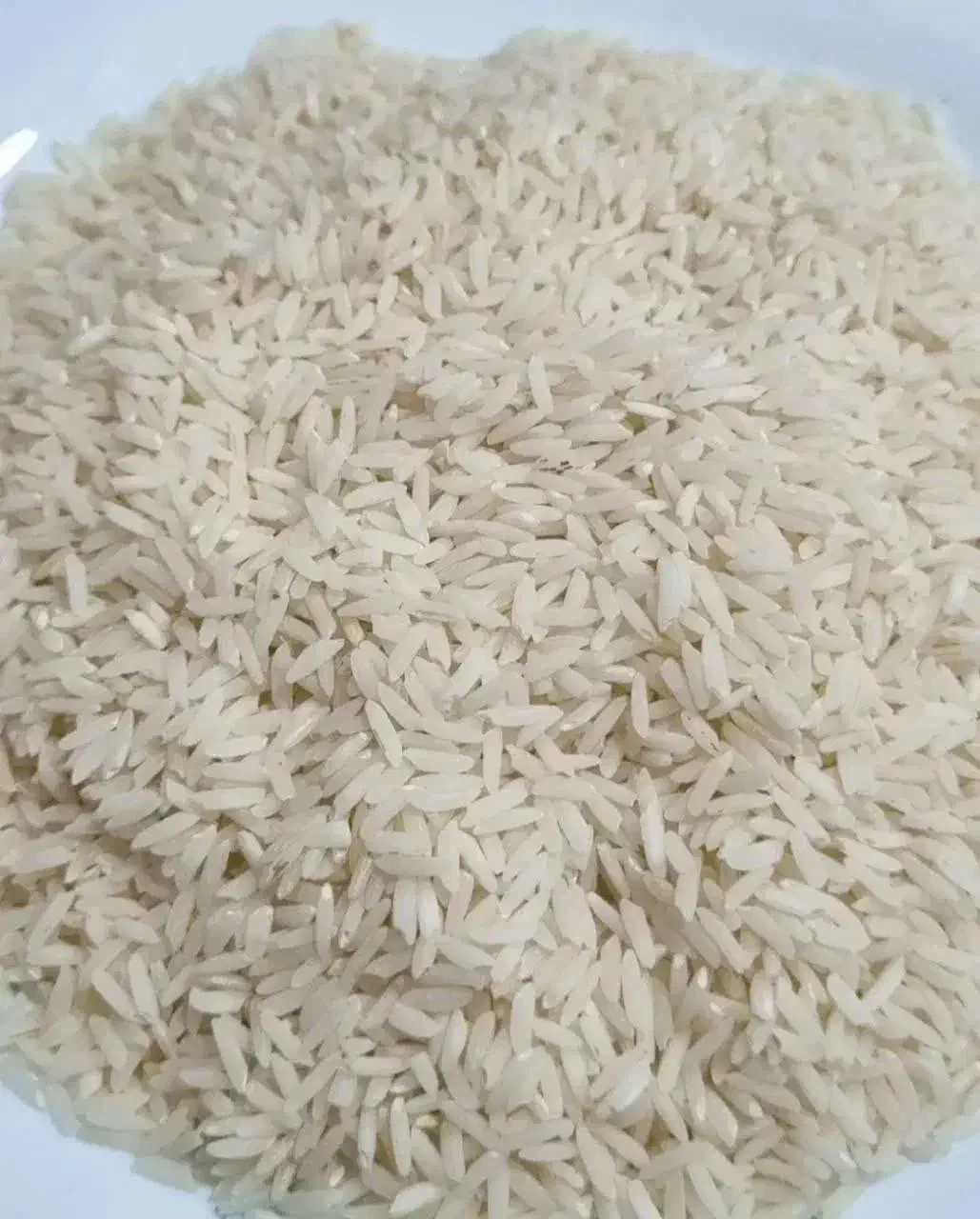 برنج طارم درجه ۱ با کیفیت تضمینی|خوردنی و آشامیدنی|سیروان, |دیوار