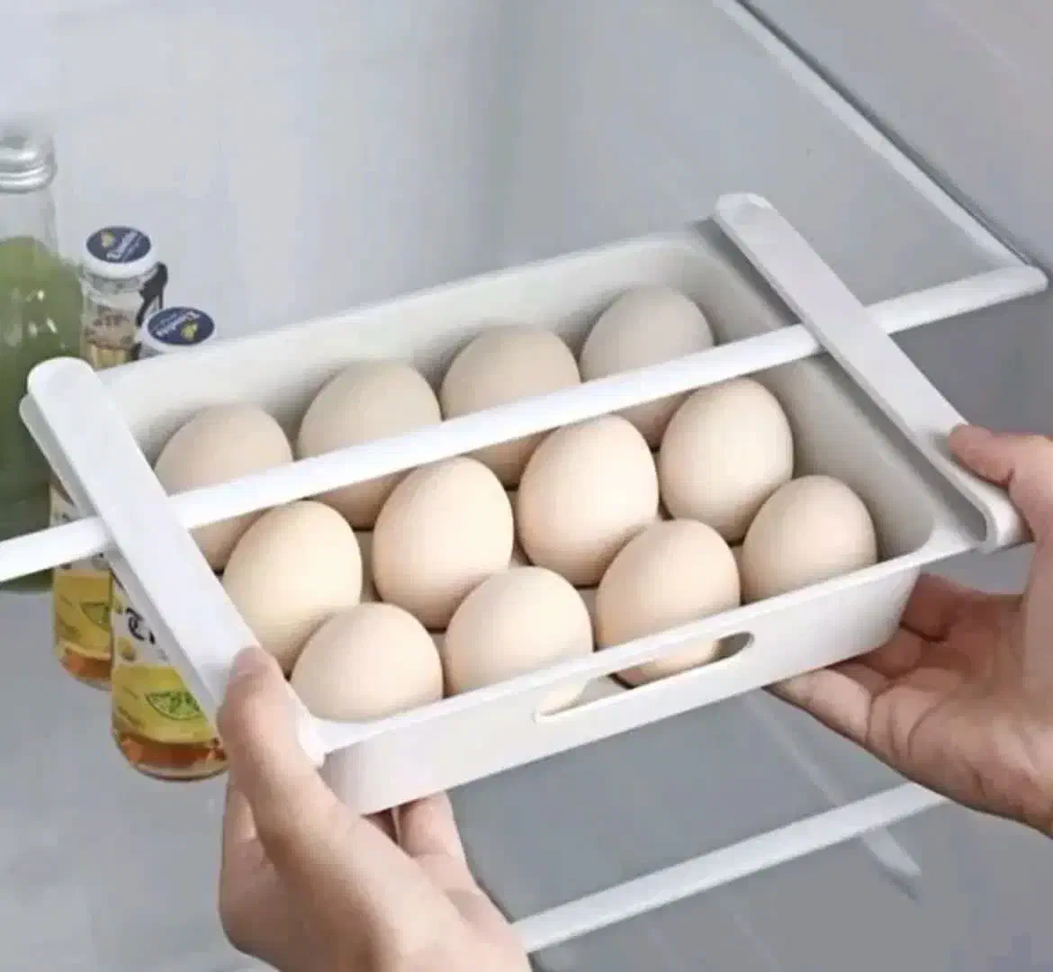 شلف جاتخم مرغی|ظروف نگهدارنده، پلاستیکی، یک‌بارمصرف|شهرکرد, |دیوار