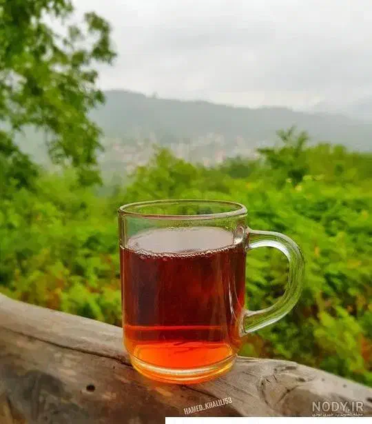 چایی و برنج|خوردنی و آشامیدنی|محمدیه-قزوین, |دیوار