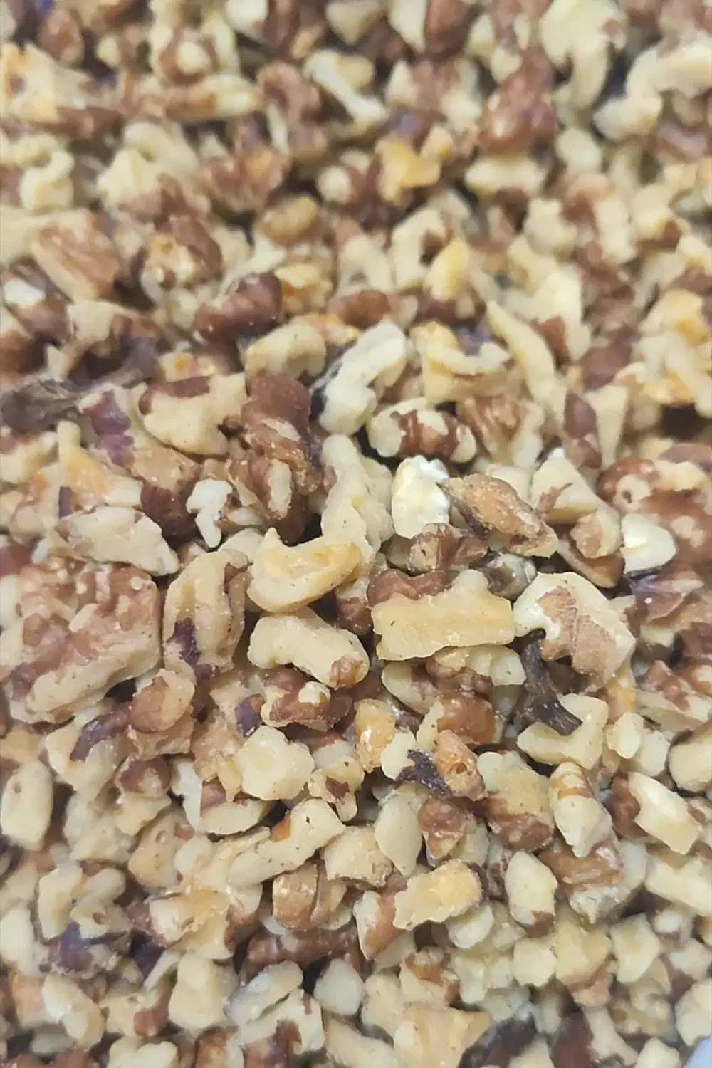 مغز گردو دندانه بلغار پارساله|خوردنی و آشامیدنی|موچش, |دیوار