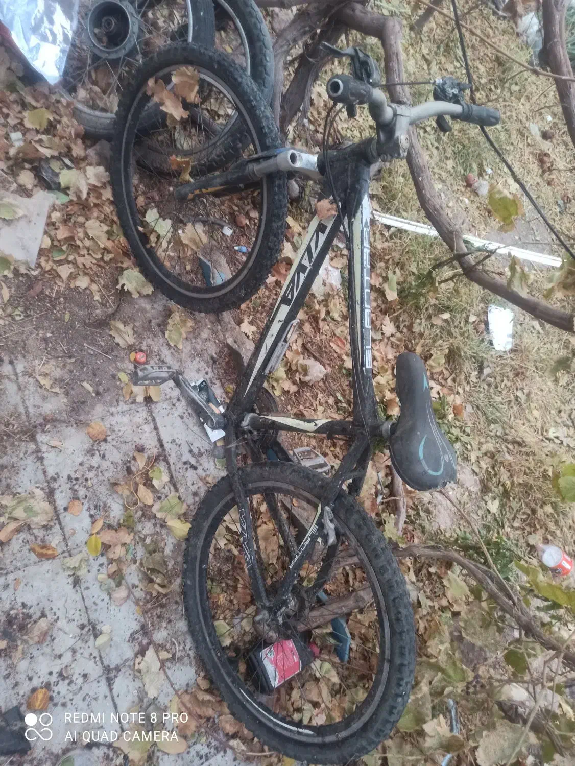 دوچرخه ویوا زیرخاکی|دوچرخه، اسکیت، اسکوتر|رفسنجان, |دیوار