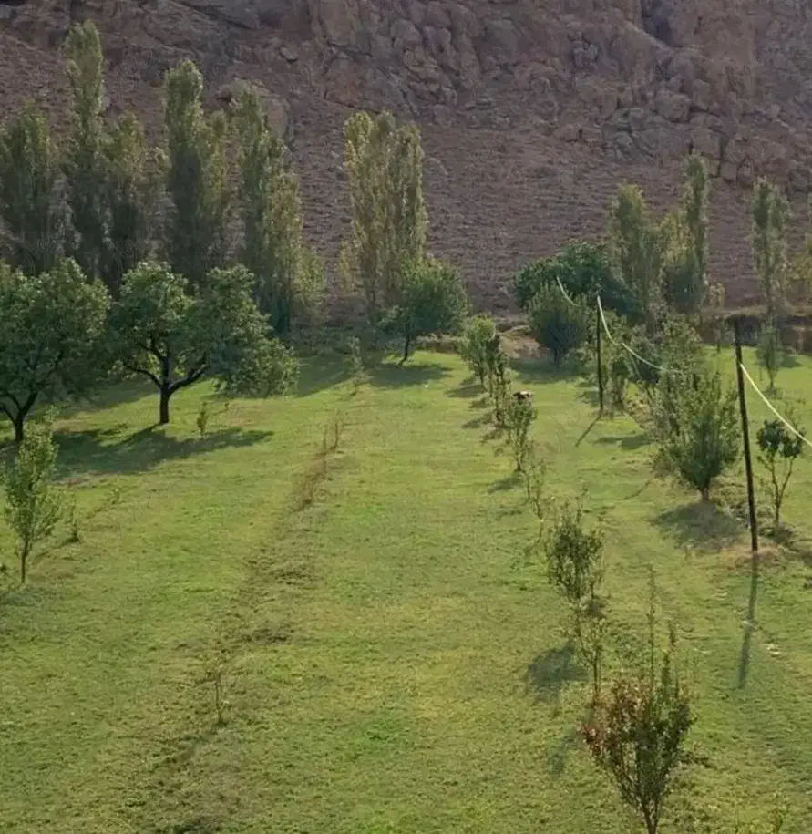 باغ ۱۰۰۰ متری پشت میدان ورودی شهر|فروش زمین و ملک کلنگی|ماکو, |دیوار
