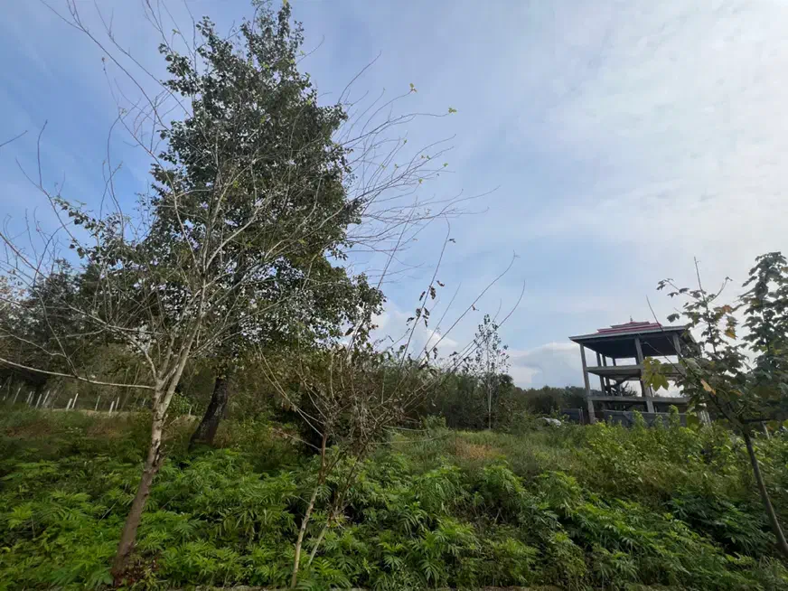 زمین با پروانه ویلایی|فروش زمین و ملک کلنگی|لاهیجان, آهندان|دیوار