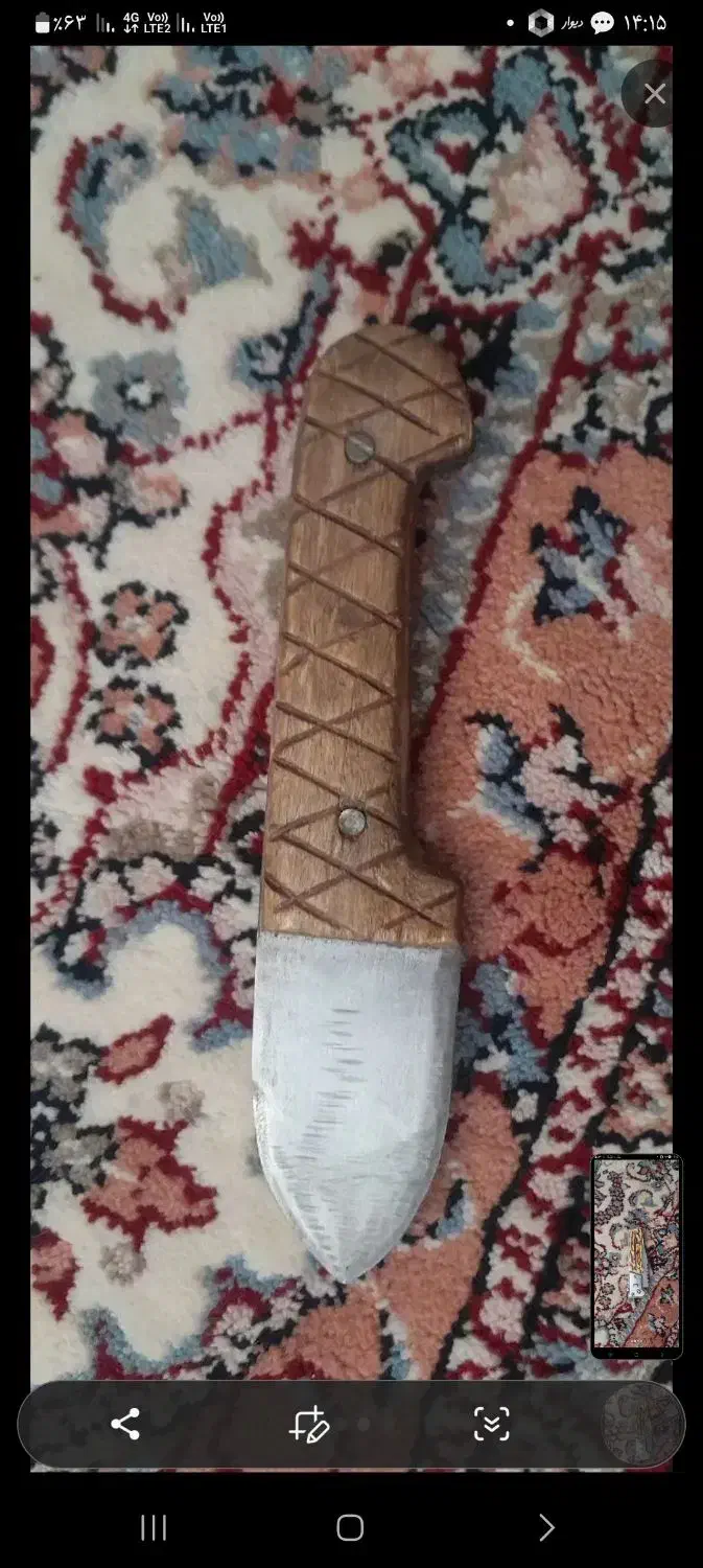 کبوتر اگهی رو بخون|پرنده|الشتر, |دیوار