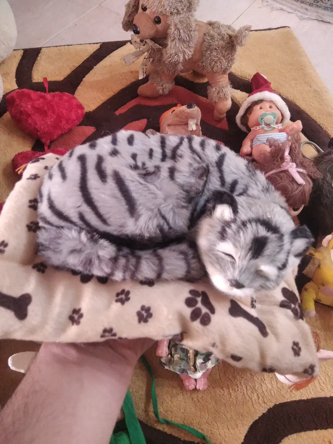 عروسک ، نو ،|اسباببازی بچه|کرج, اصفهانیها|دیوار